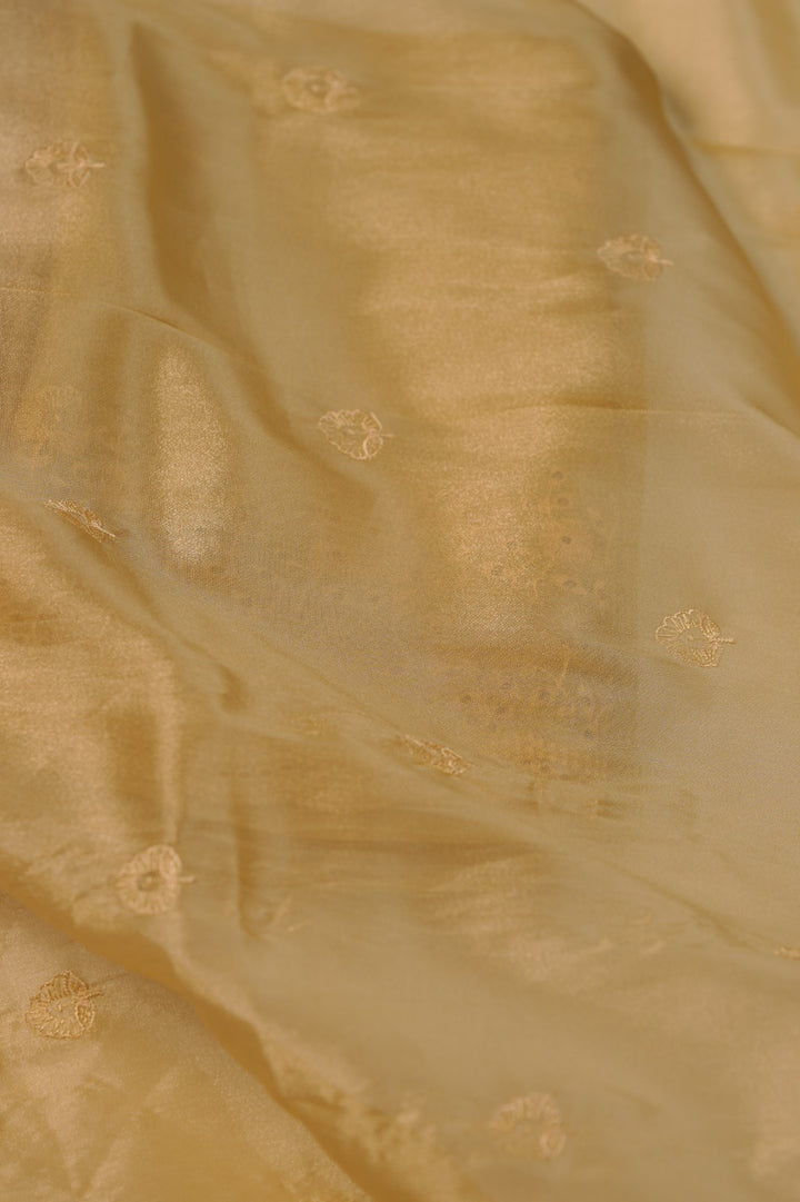 Tissue Organza Salwar TSS01241
