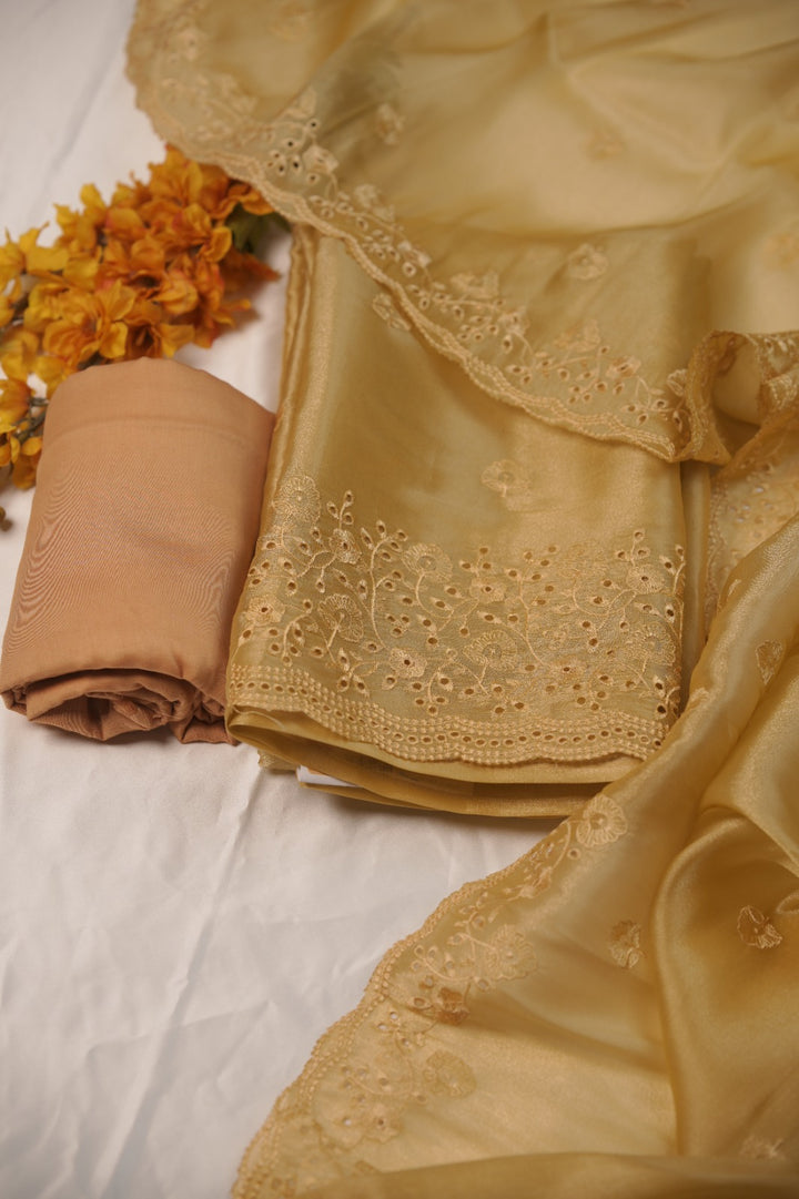 Tissue Organza Salwar TSS01241