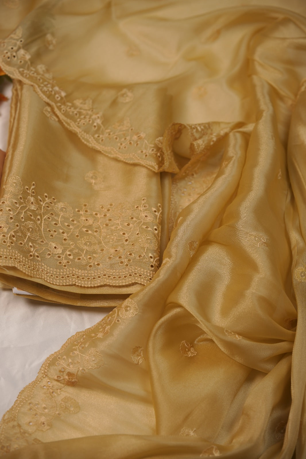 Tissue Organza Salwar TSS01241