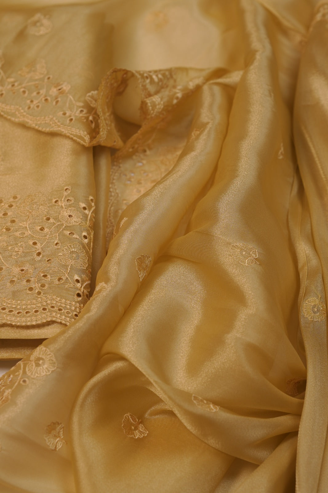 Tissue Organza Salwar TSS01241