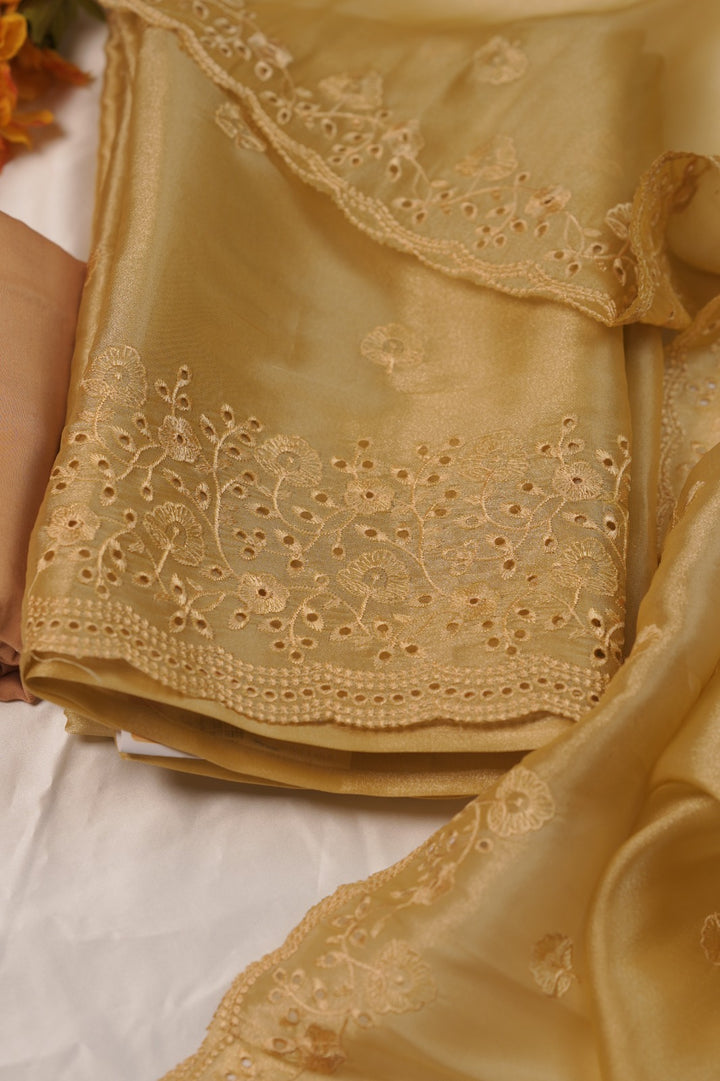 Tissue Organza Salwar TSS01241