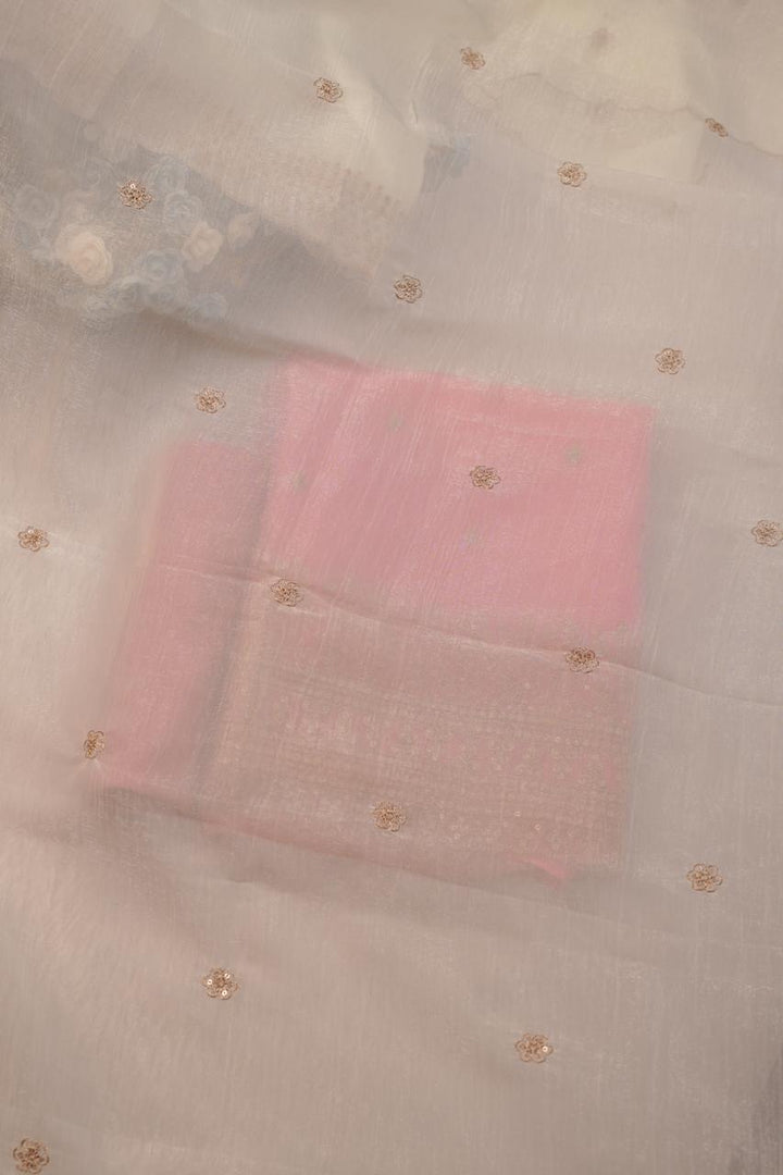 Shimmer Organza Salwar TSS5723
