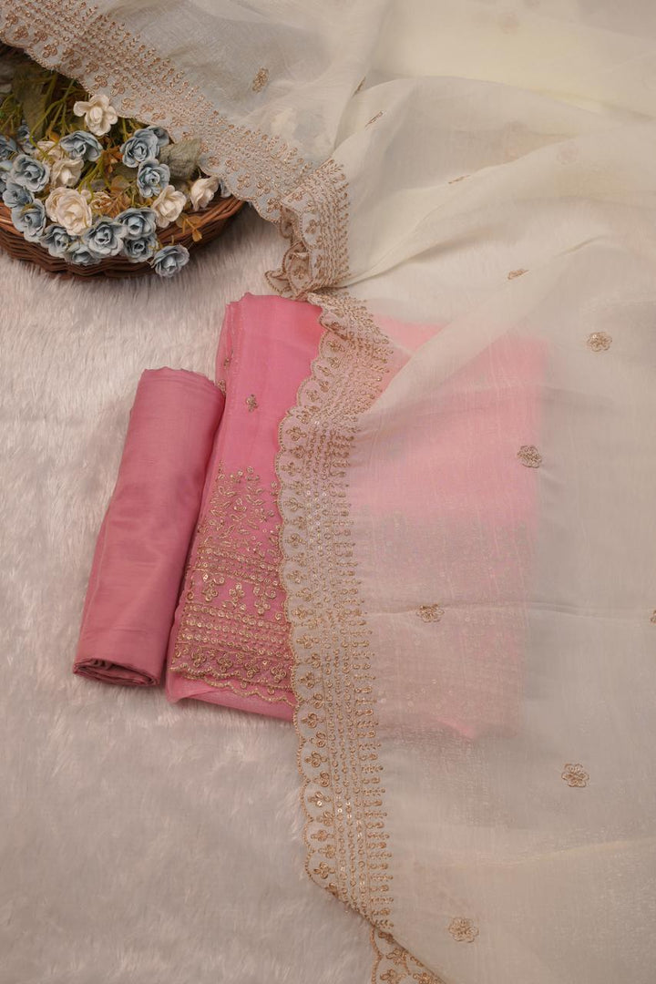Shimmer Organza Salwar TSS5723