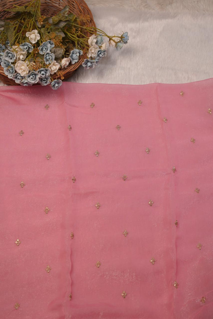 Shimmer Organza Salwar TSS5723