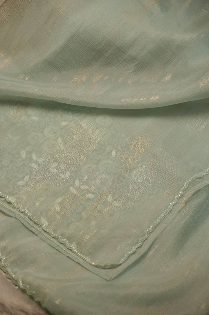 Crushed Organza Saree TSA5729
