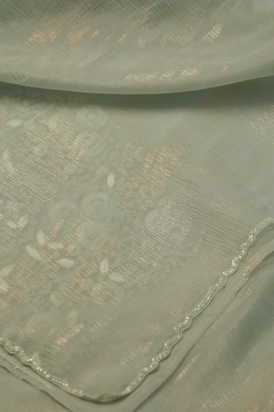 Crushed Organza Saree TSA5729