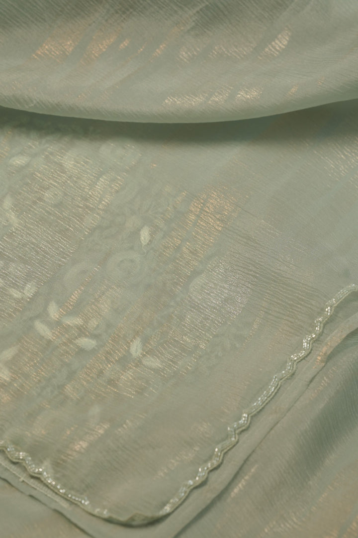 Crushed Organza Saree TSA5729