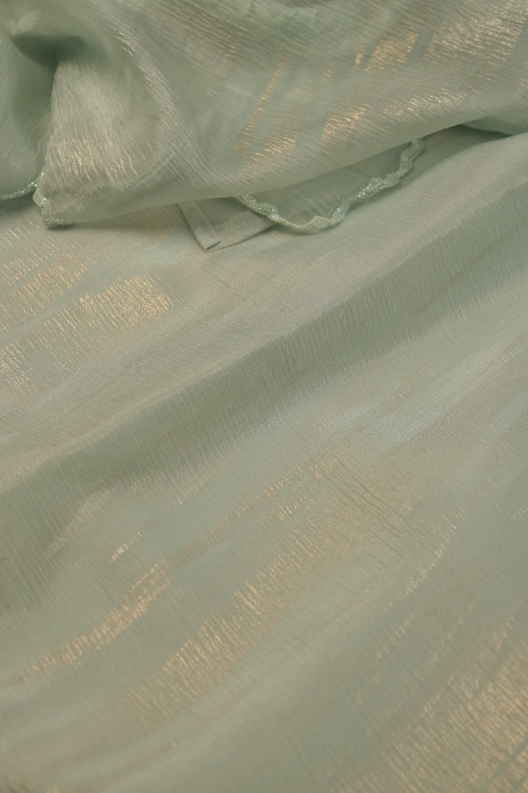 Crushed Organza Saree TSA5729