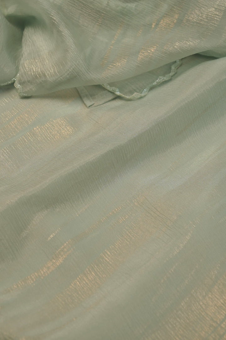 Crushed Organza Saree TSA5729