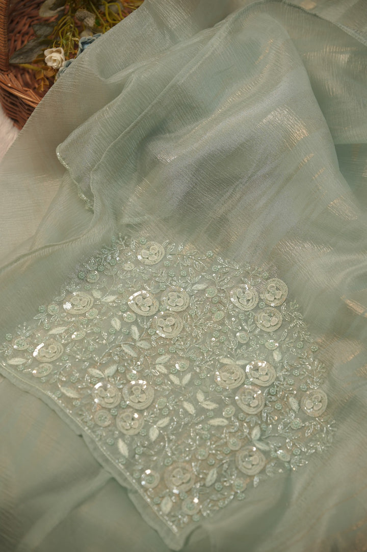 Crushed Organza Saree TSA5729