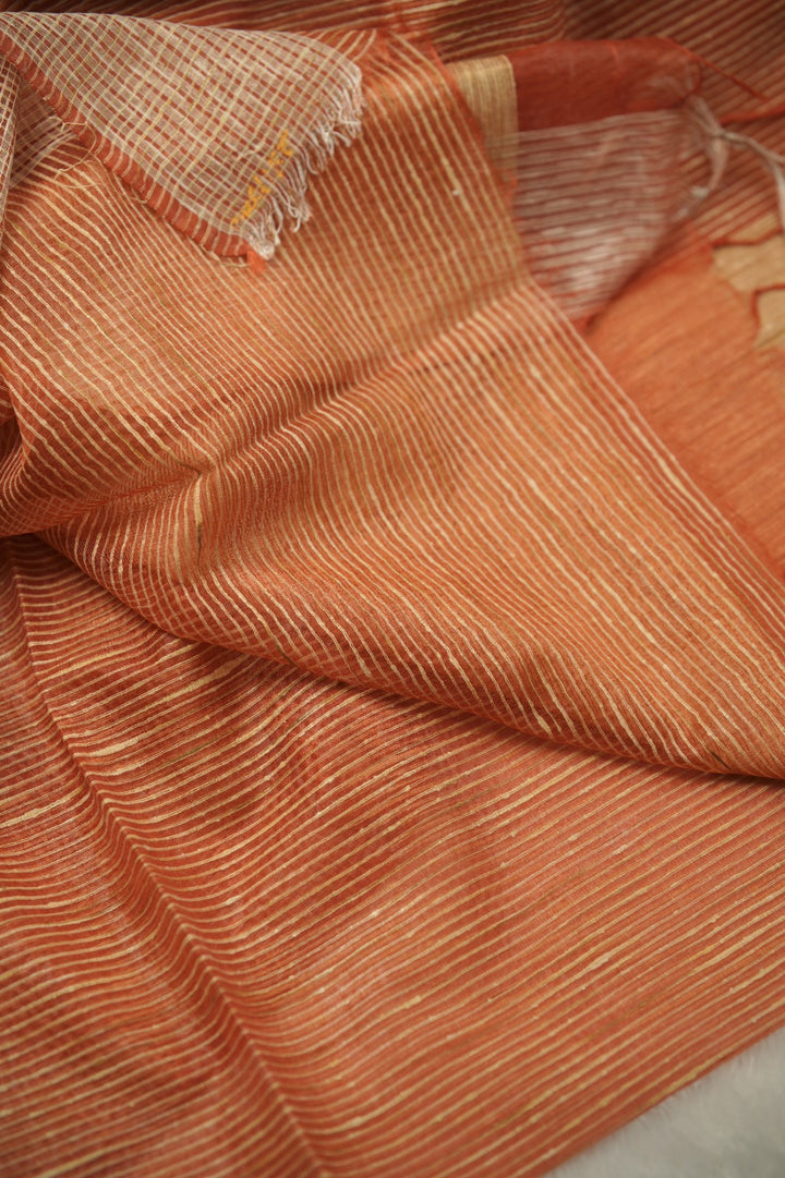 Organza Saree TSA01267