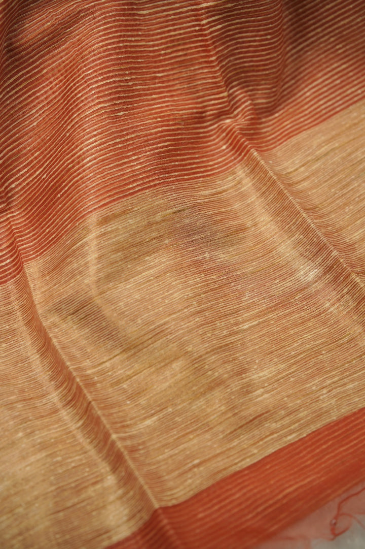 Organza Saree TSA01267