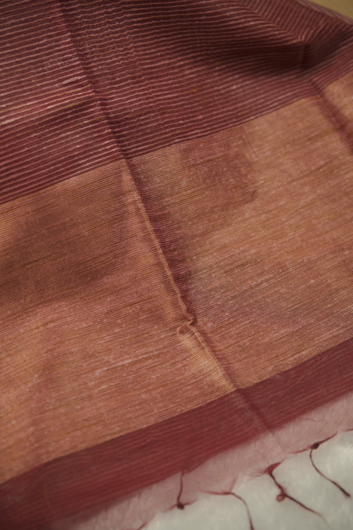 Organza Saree TSA01266