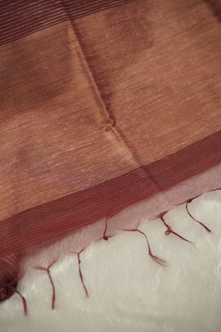 Organza Saree TSA01266