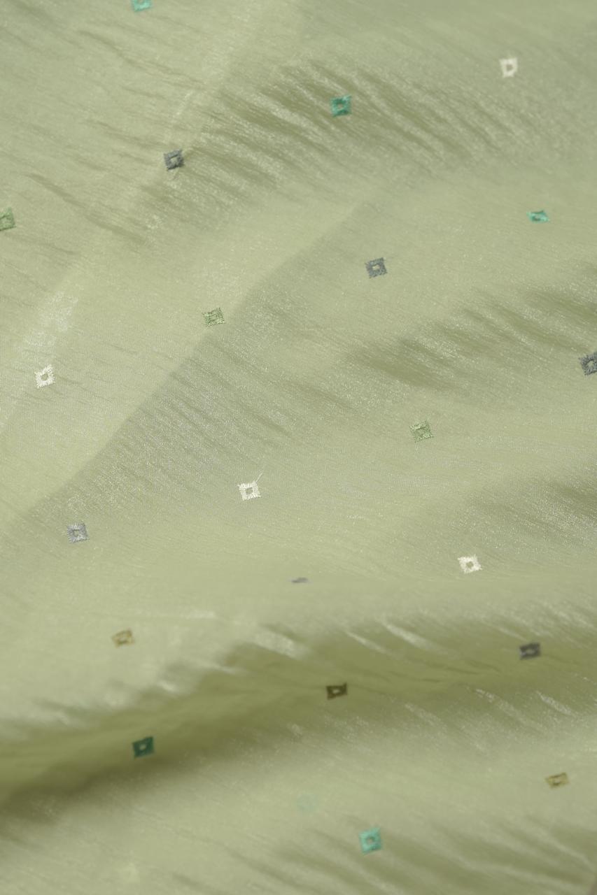 Crushed Oraganza Salwar TSS01287