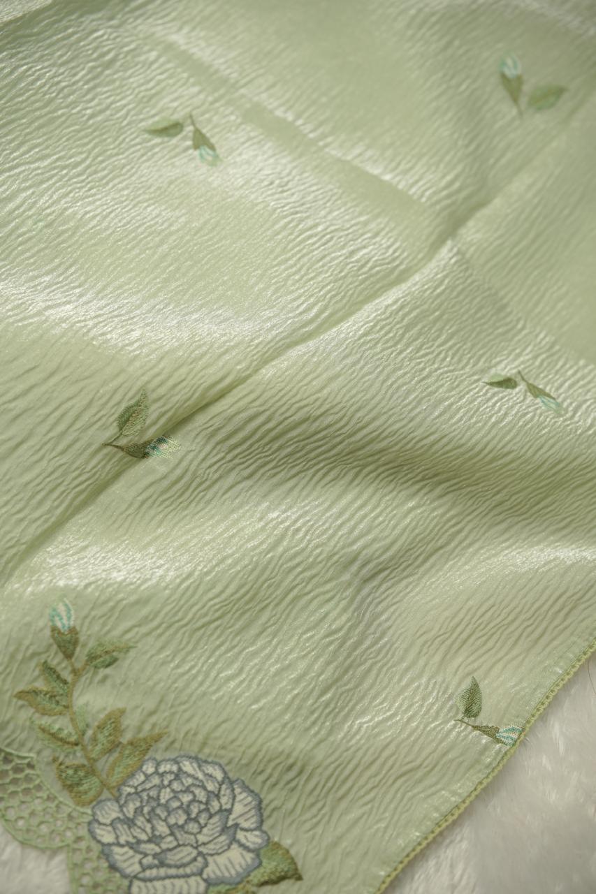 Crushed Oraganza Salwar TSS01287