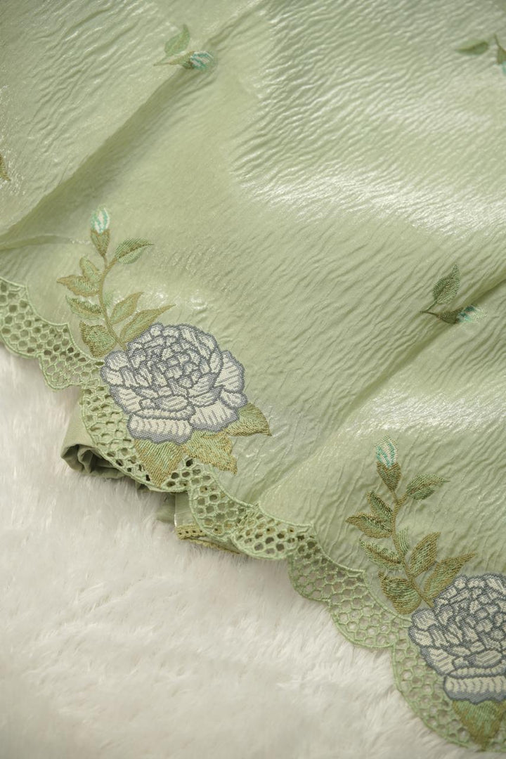 Crushed Oraganza Salwar TSS01287