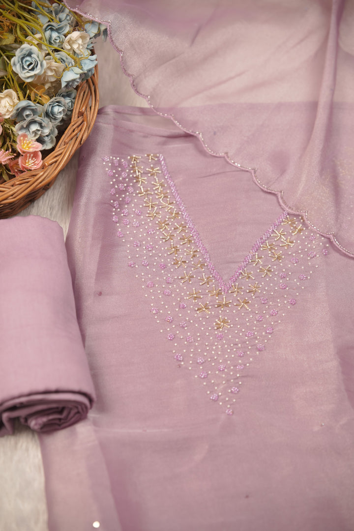 Tissue Organza Salwar TSS01293