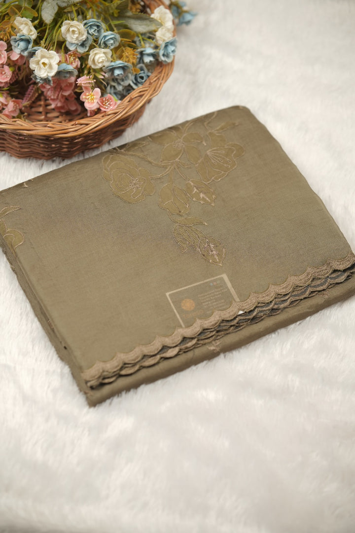 Organza Saree TSA01357