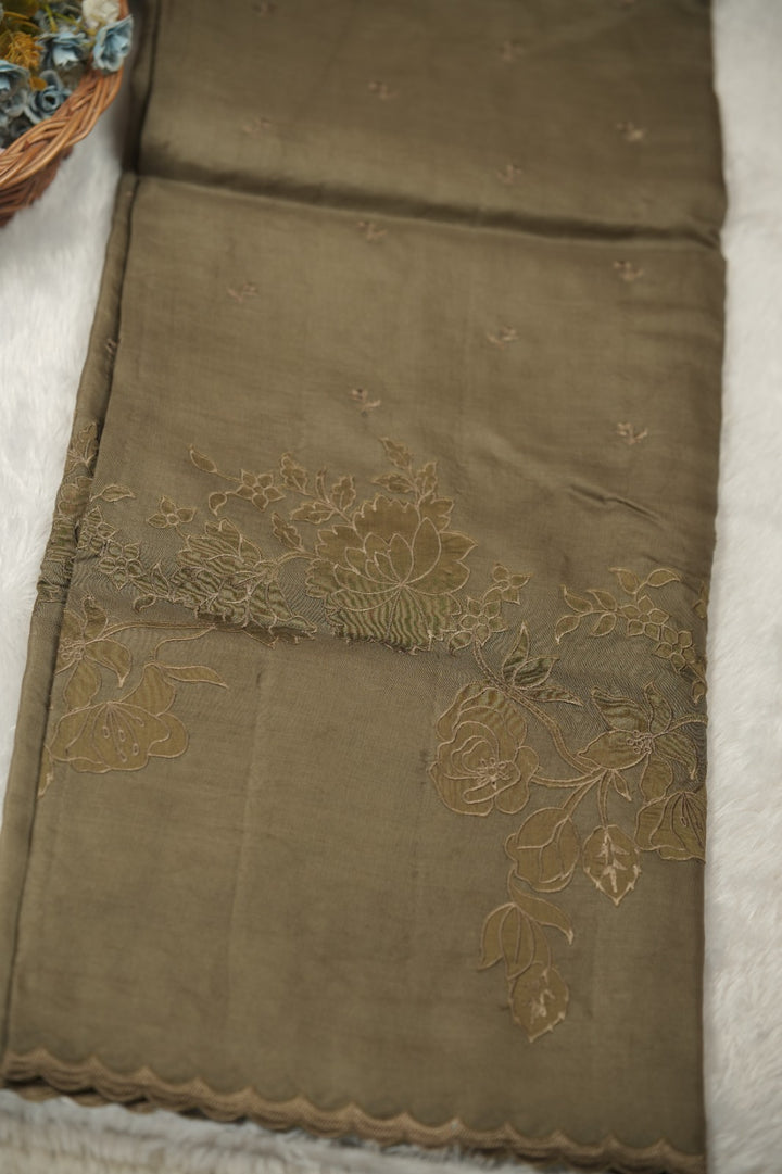 Organza Saree TSA01357