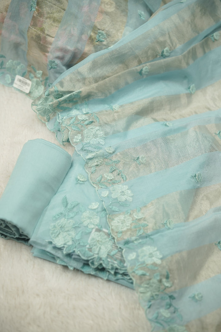 Organza Salwar TSS01377
