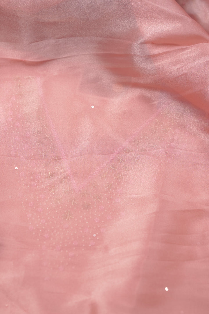 Tissue Organza Salwar TSS01388