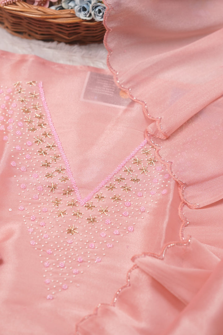 Tissue Organza Salwar TSS01388
