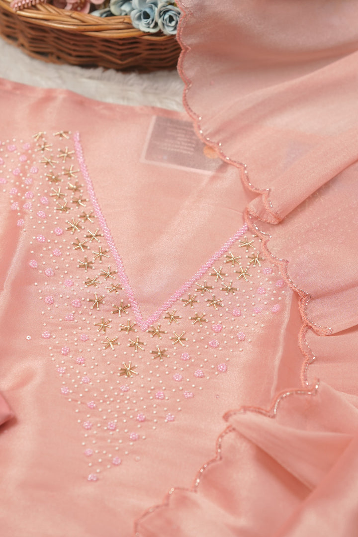 Tissue Organza Salwar TSS01388
