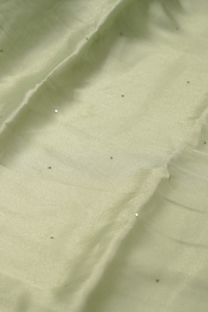 Tissue Organza Salwar TSS01386