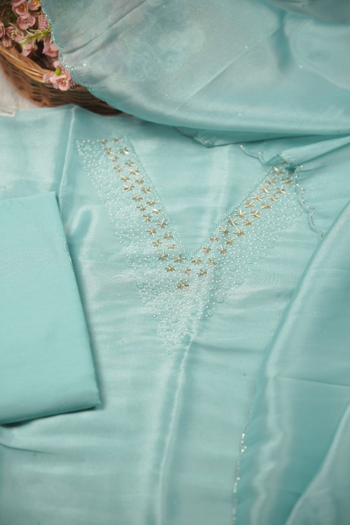 Tissue Organza Salwar TSS01385