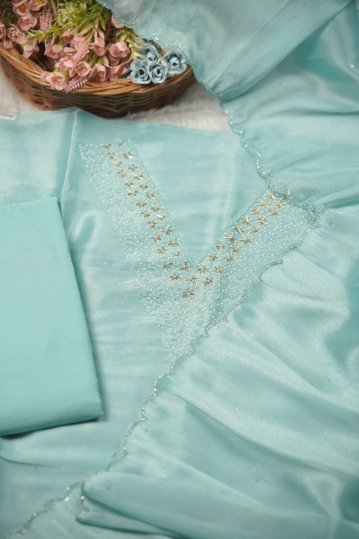 Tissue Organza Salwar TSS01385