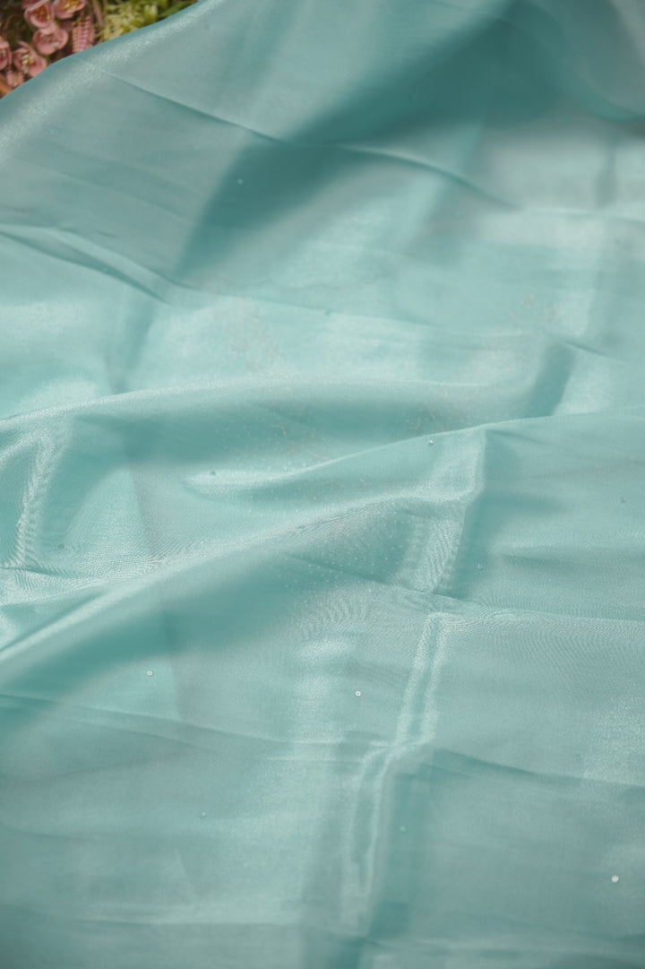 Tissue Organza Salwar TSS01385