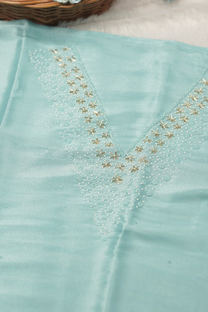Tissue Organza Salwar TSS01385