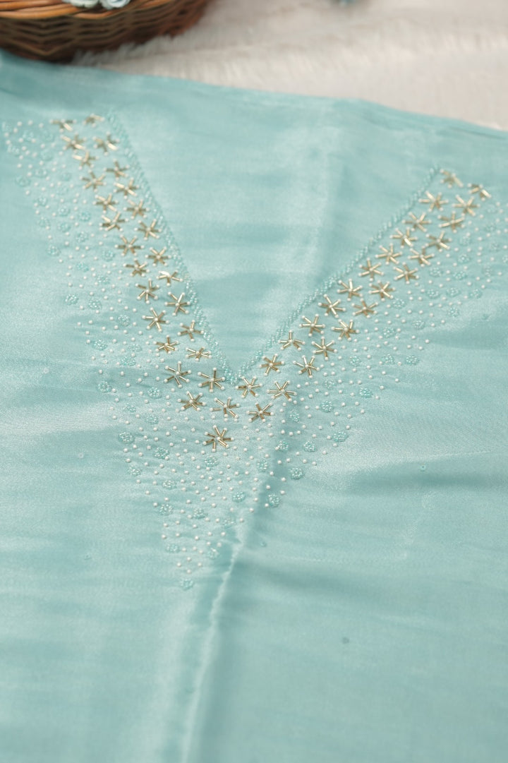 Tissue Organza Salwar TSS01385