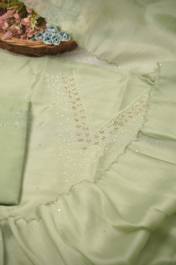 Tissue Organza Salwar TSS01386