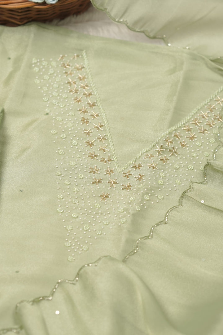 Tissue Organza Salwar TSS01386