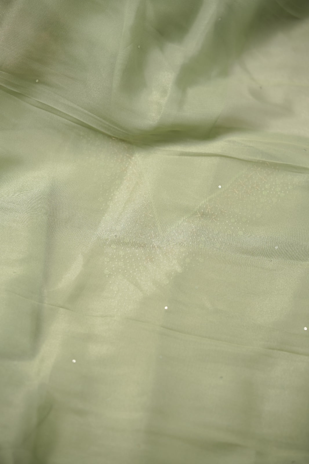 Tissue Organza Salwar TSS01386