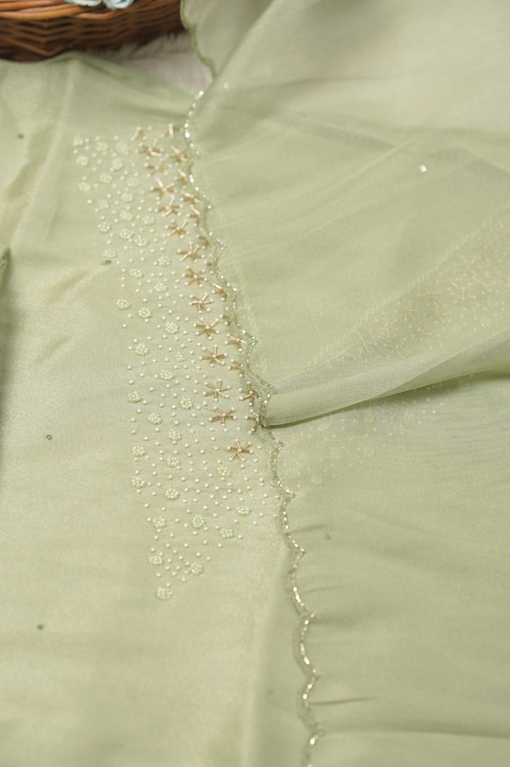 Tissue Organza Salwar TSS01386