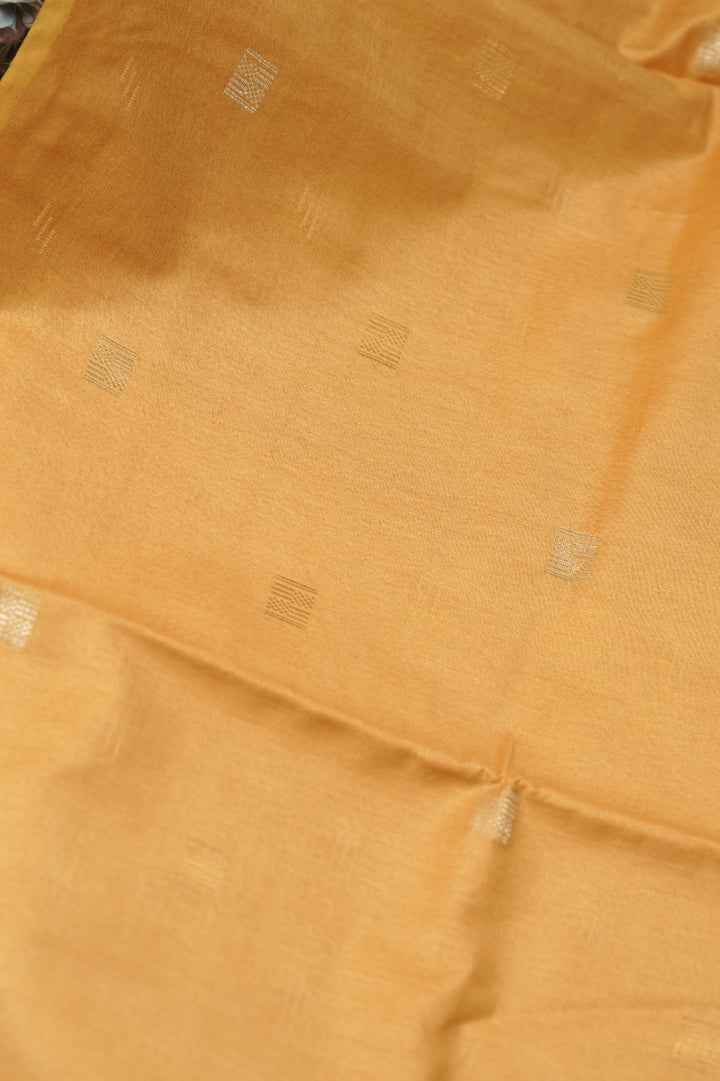 Art Tussar Salwar TSS01338