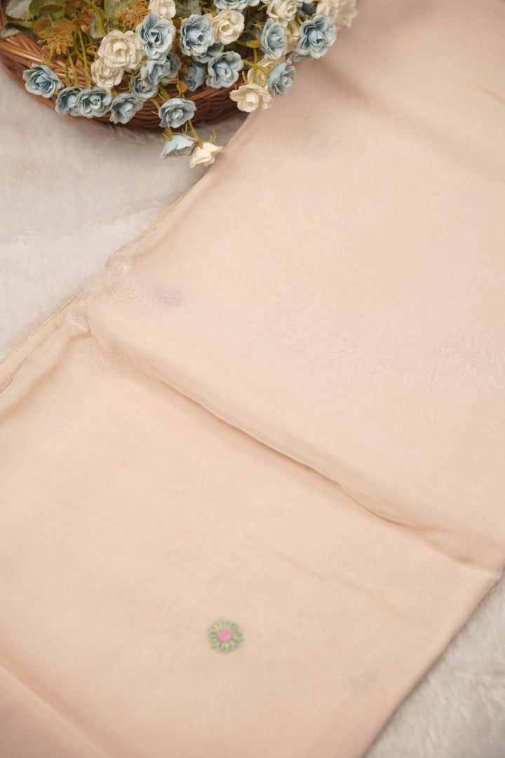 Organza Saree TSA01394