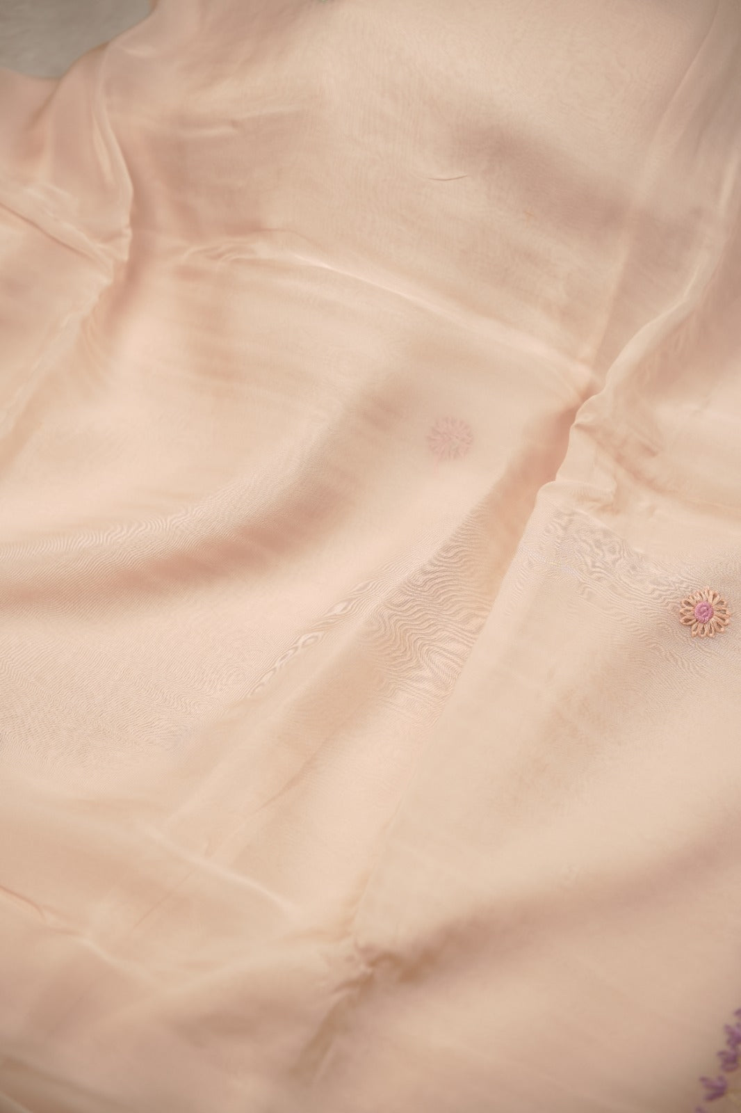 Organza Saree TSA01394