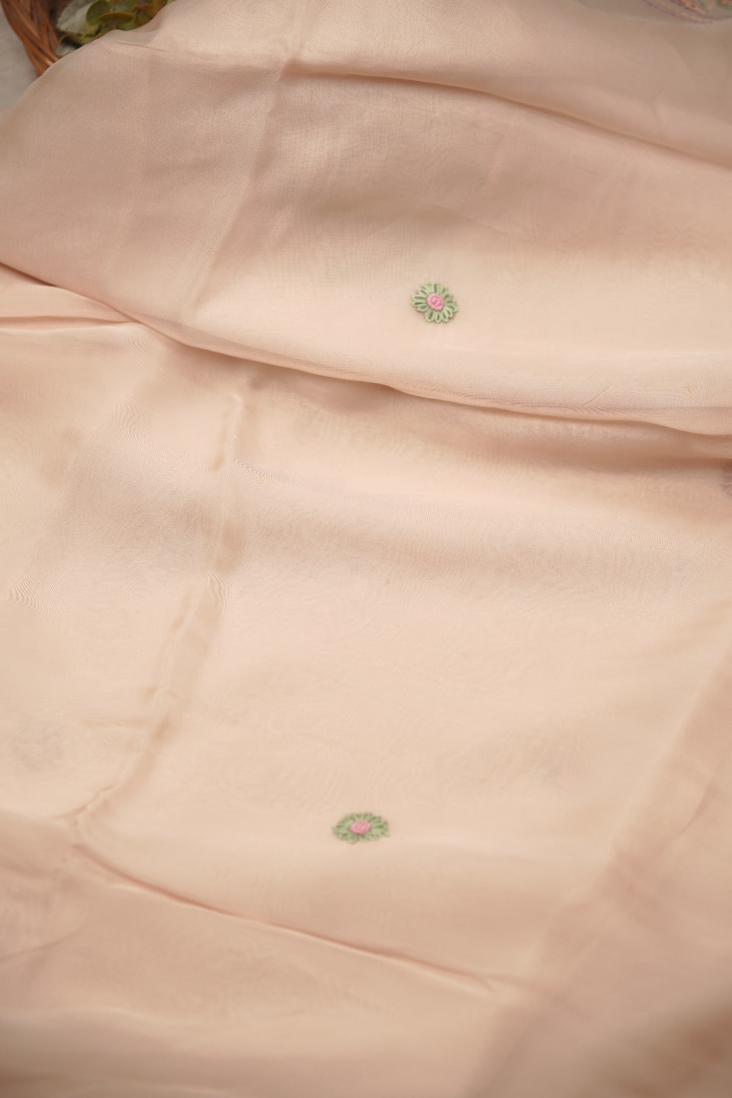 Organza Saree TSA01394