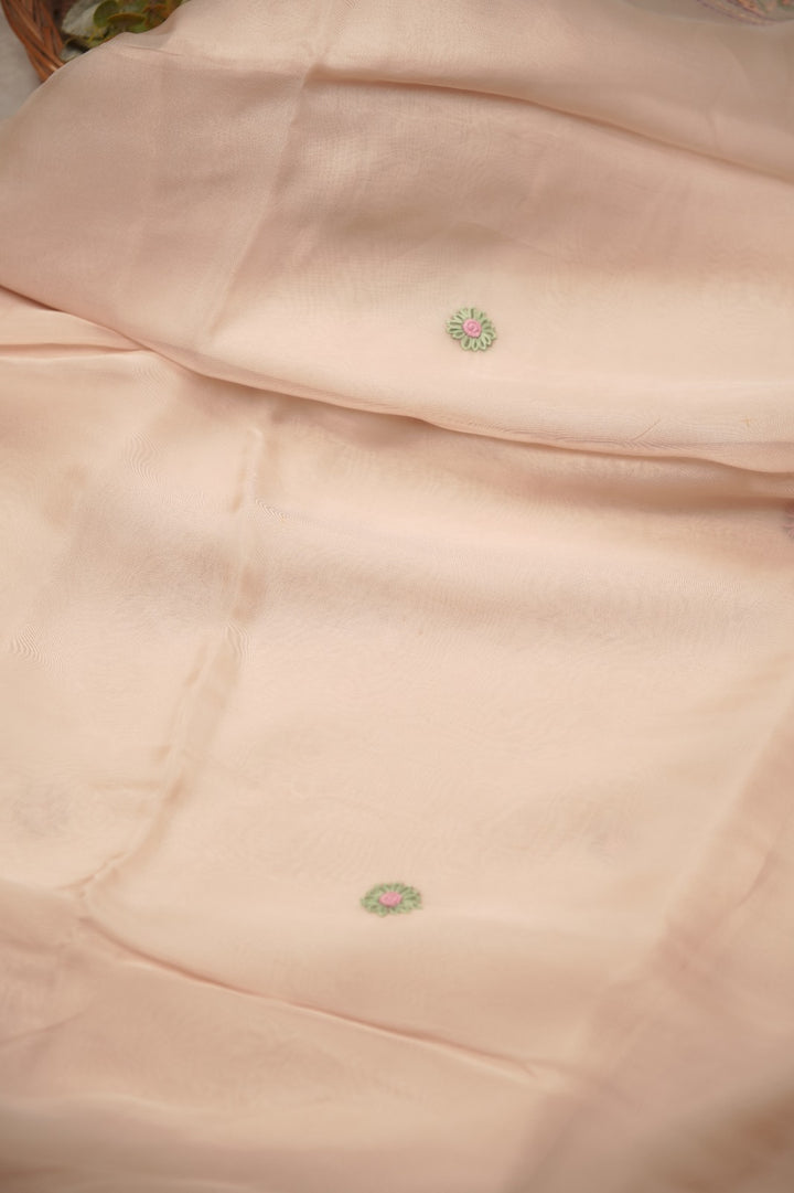Organza Saree TSA01394