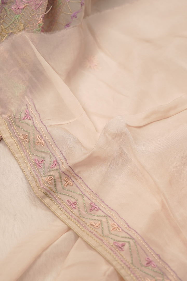 Organza Saree TSA01394