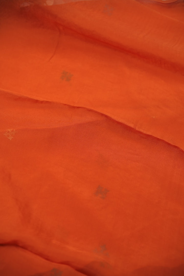 Organza Saree TSA01396