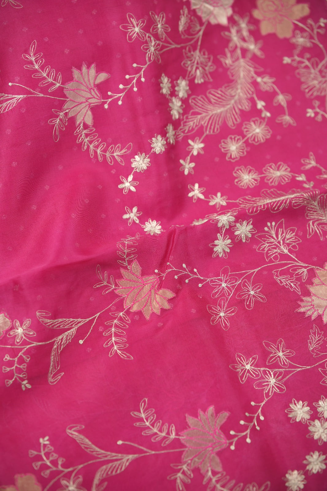 Organza Saree TSA01397
