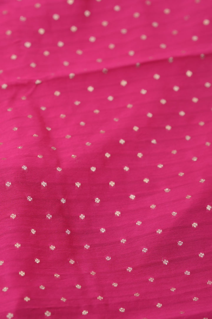 Organza Saree TSA01397