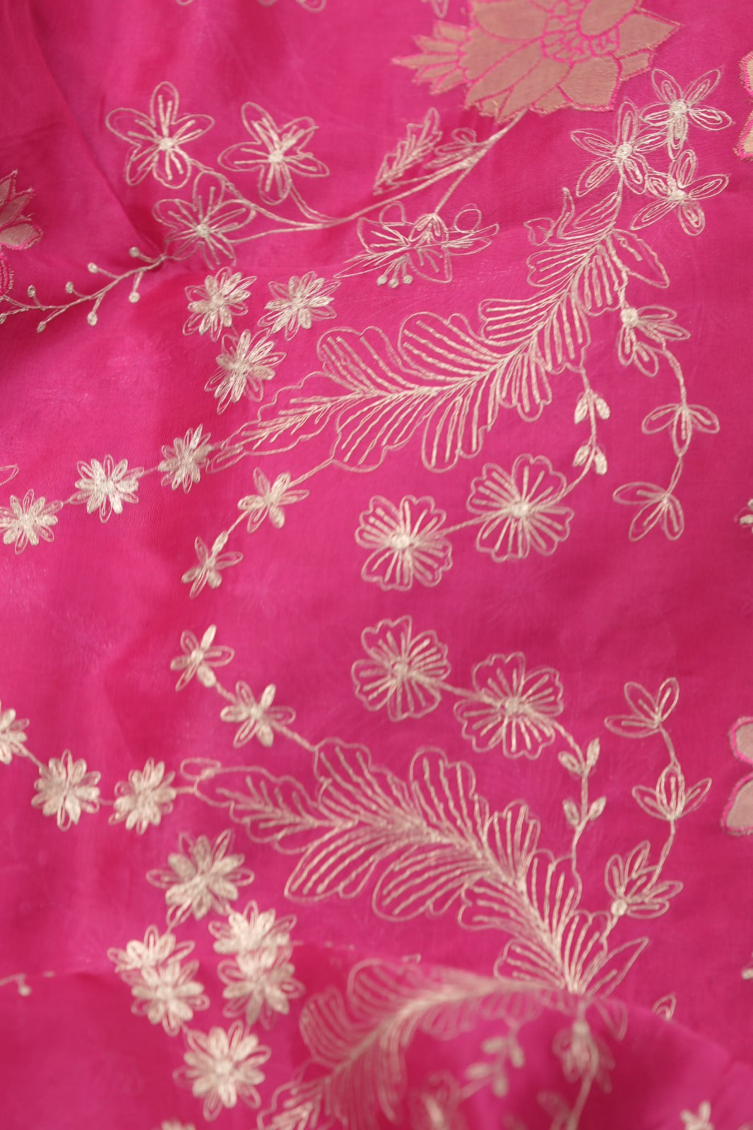 Organza Saree TSA01397