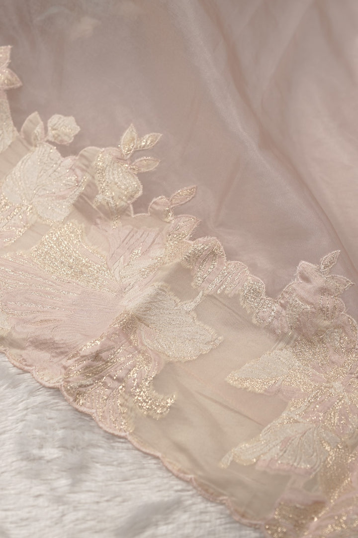 Organza Salwar TSS5790