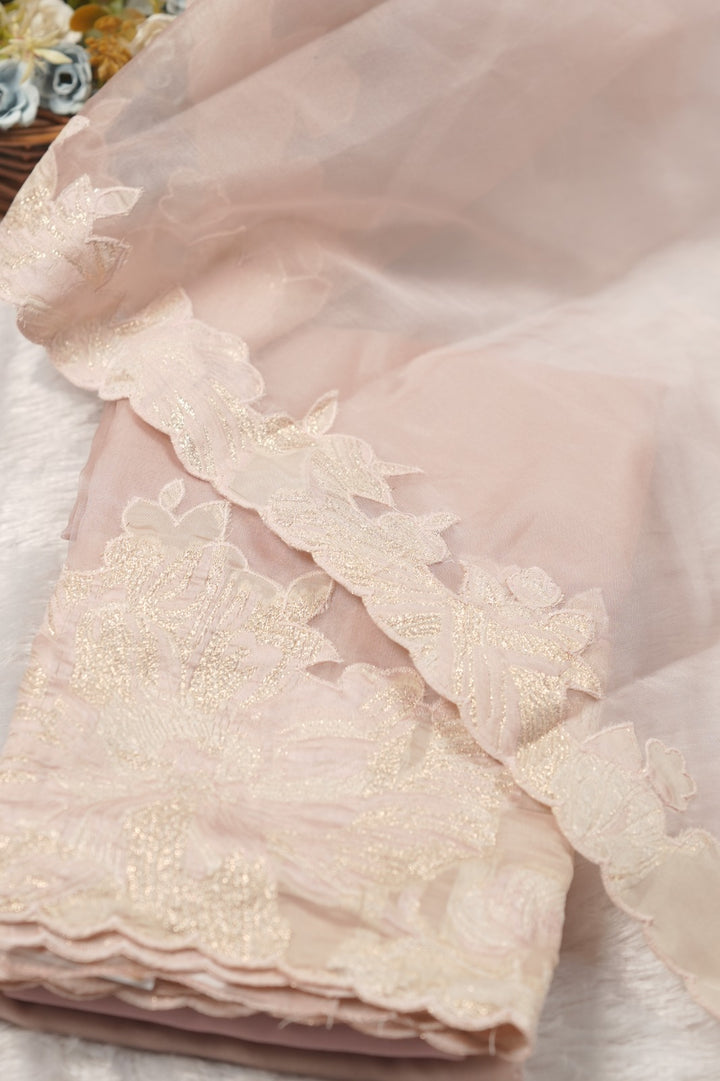 Organza Salwar TSS5790